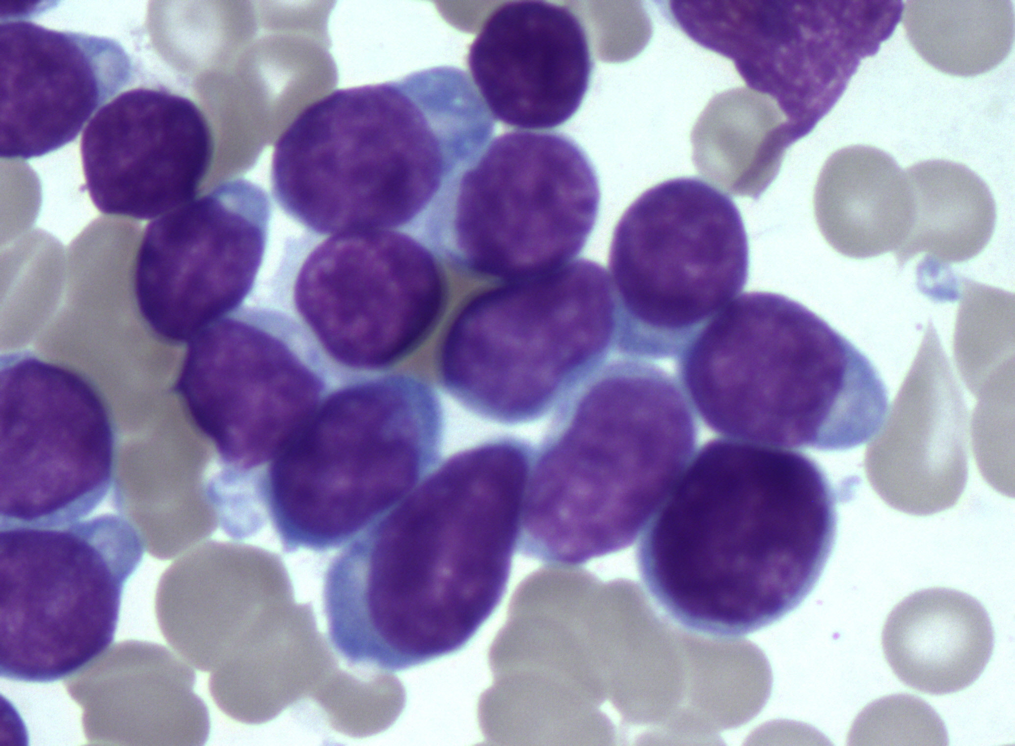 Slide 6